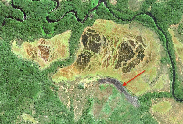 beaver dams on Apple Maps