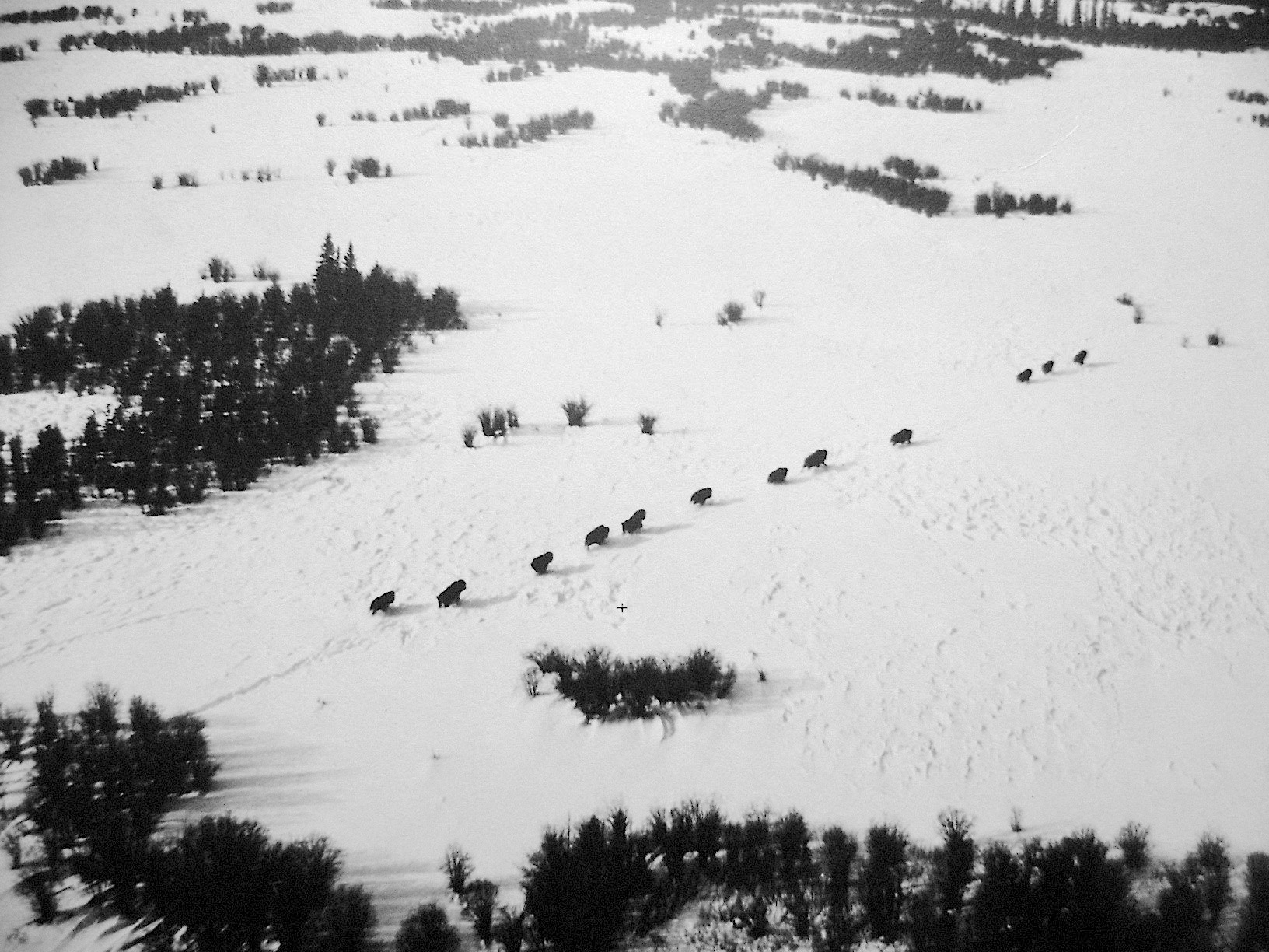 winter high resolution