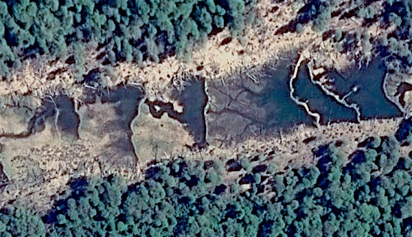 detail of beaver managed stream