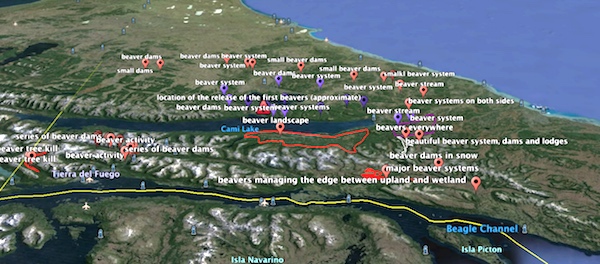 1945-1960 beaver expansion markers by Jean Thie